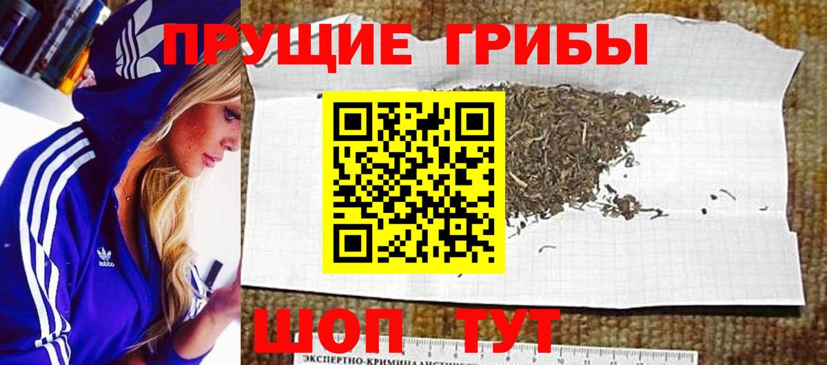 Борисоглебск  Галлюциногенные грибы мицелий  Вход с VPN  Псилоцибиновые грибы мухоморы 
